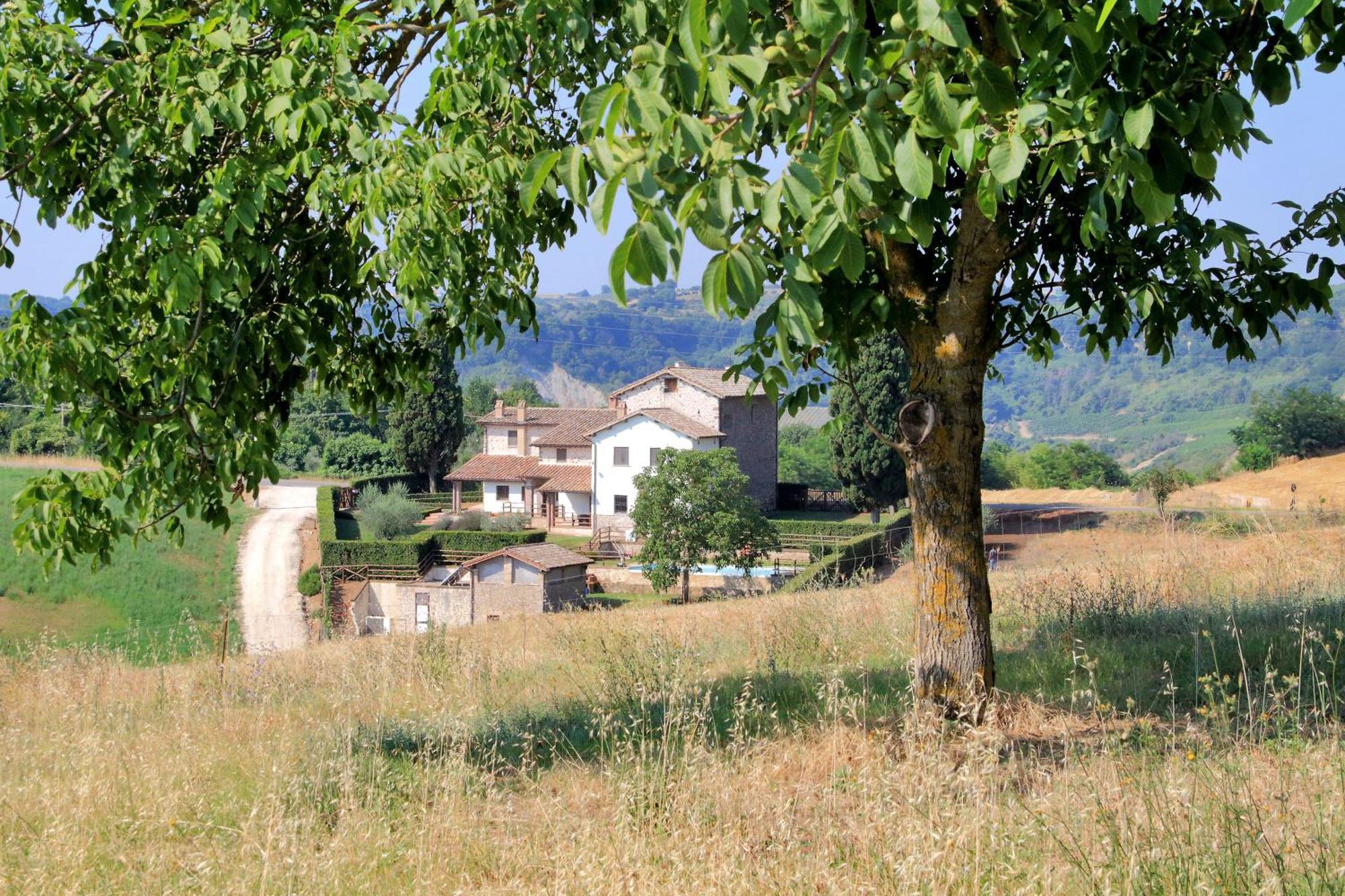 Orvieto Country House Castiglione In Teverina Екстериор снимка