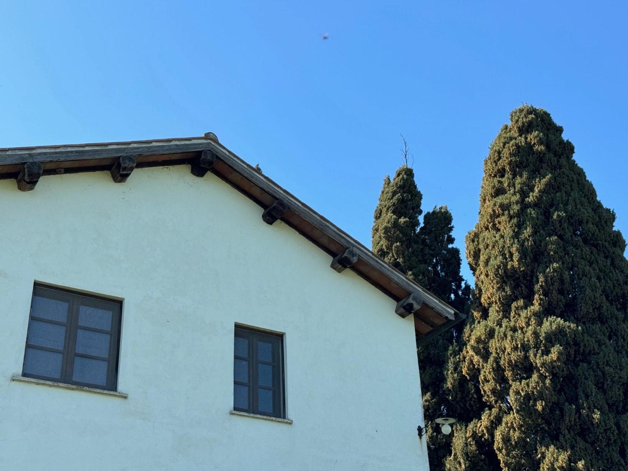 Orvieto Country House Castiglione In Teverina Екстериор снимка