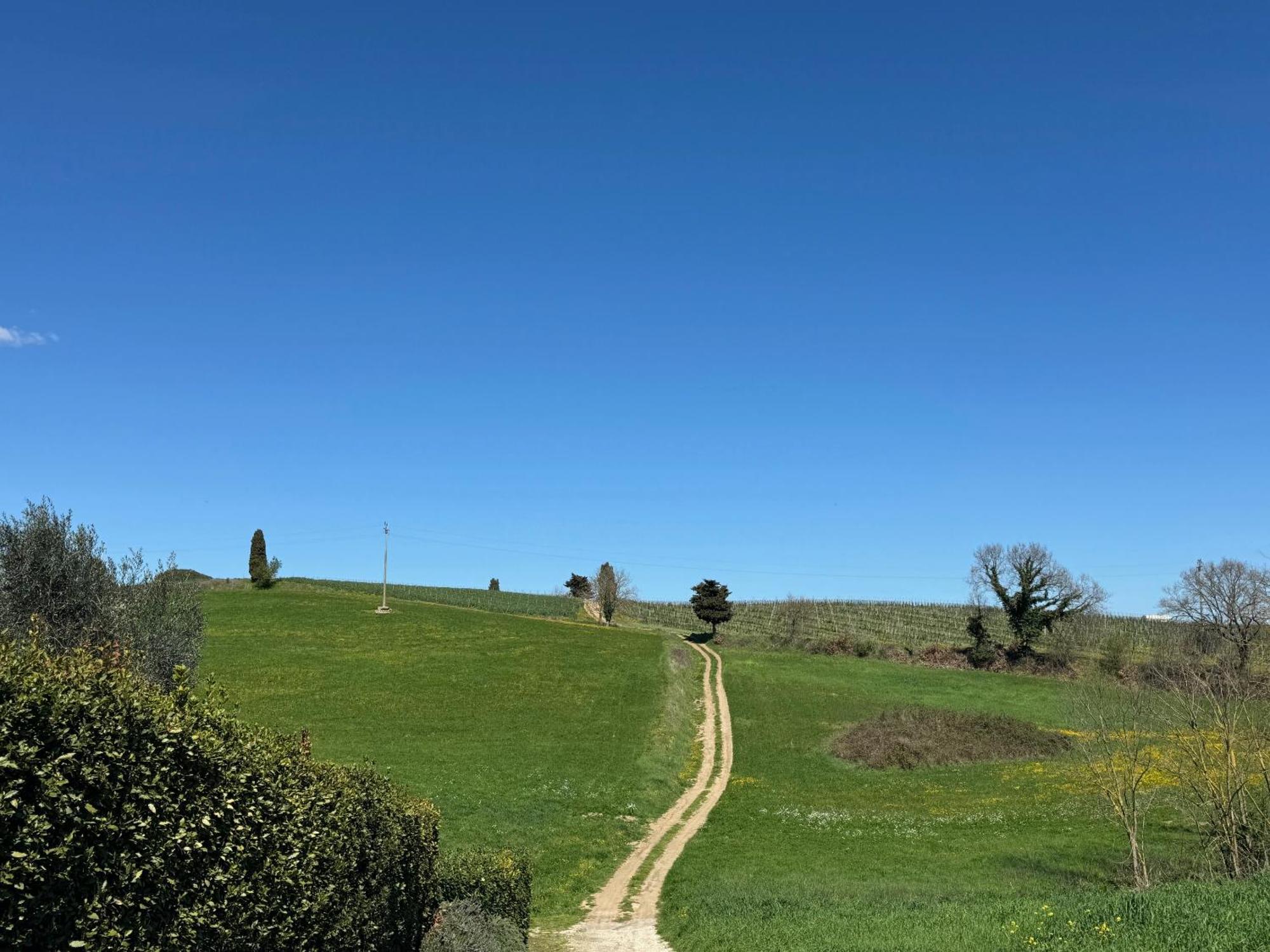 Orvieto Country House Castiglione In Teverina Екстериор снимка