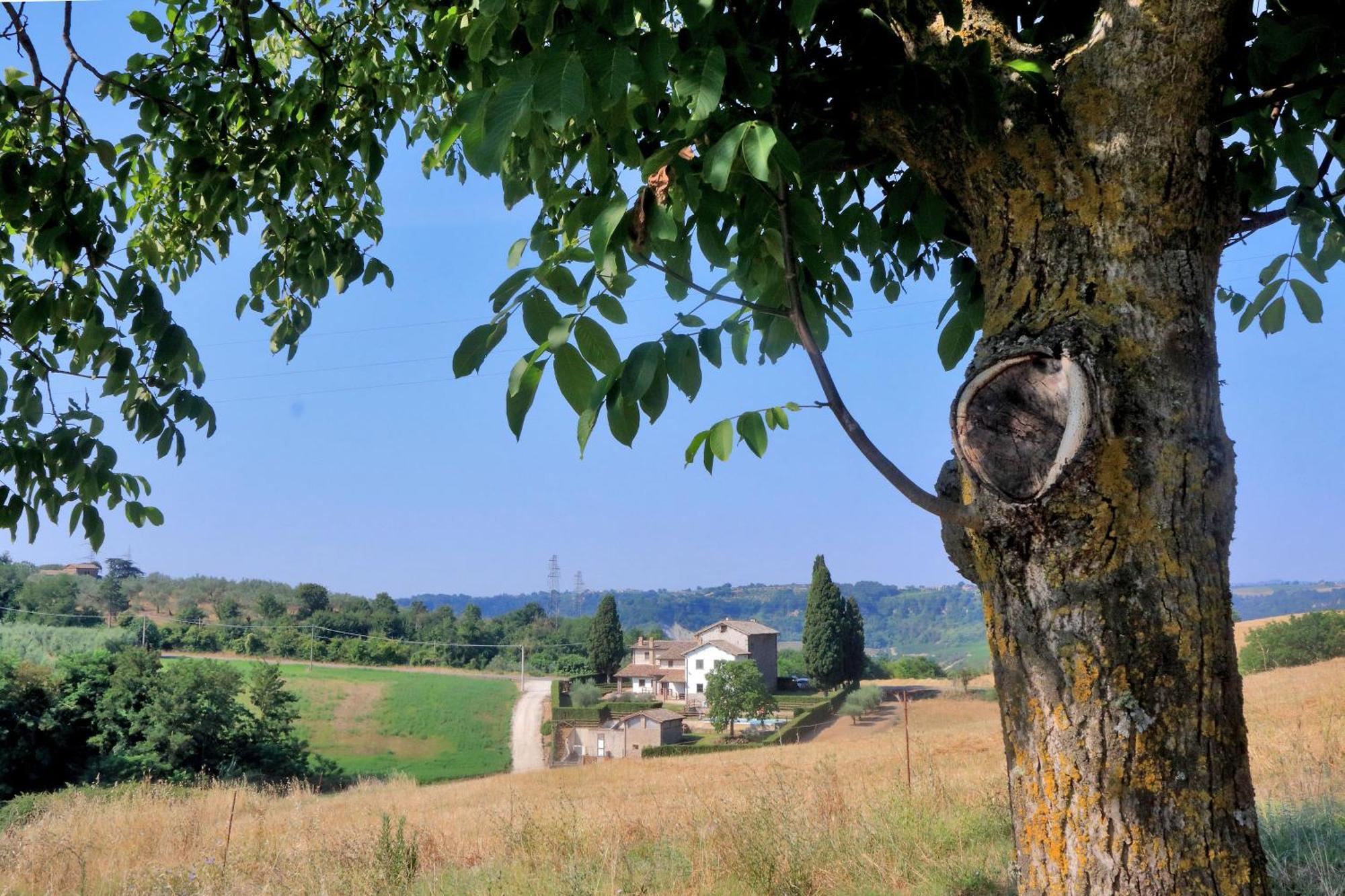 Orvieto Country House Castiglione In Teverina Екстериор снимка