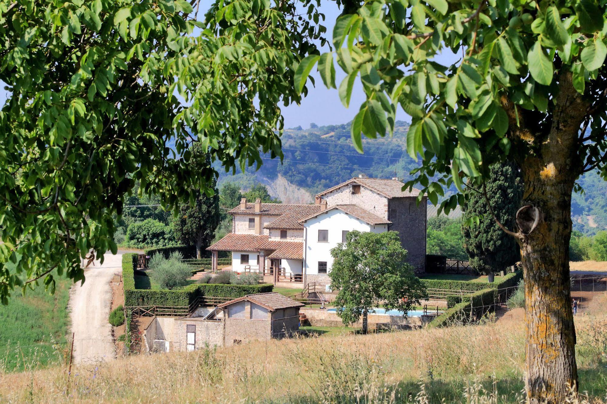 Orvieto Country House Castiglione In Teverina Екстериор снимка
